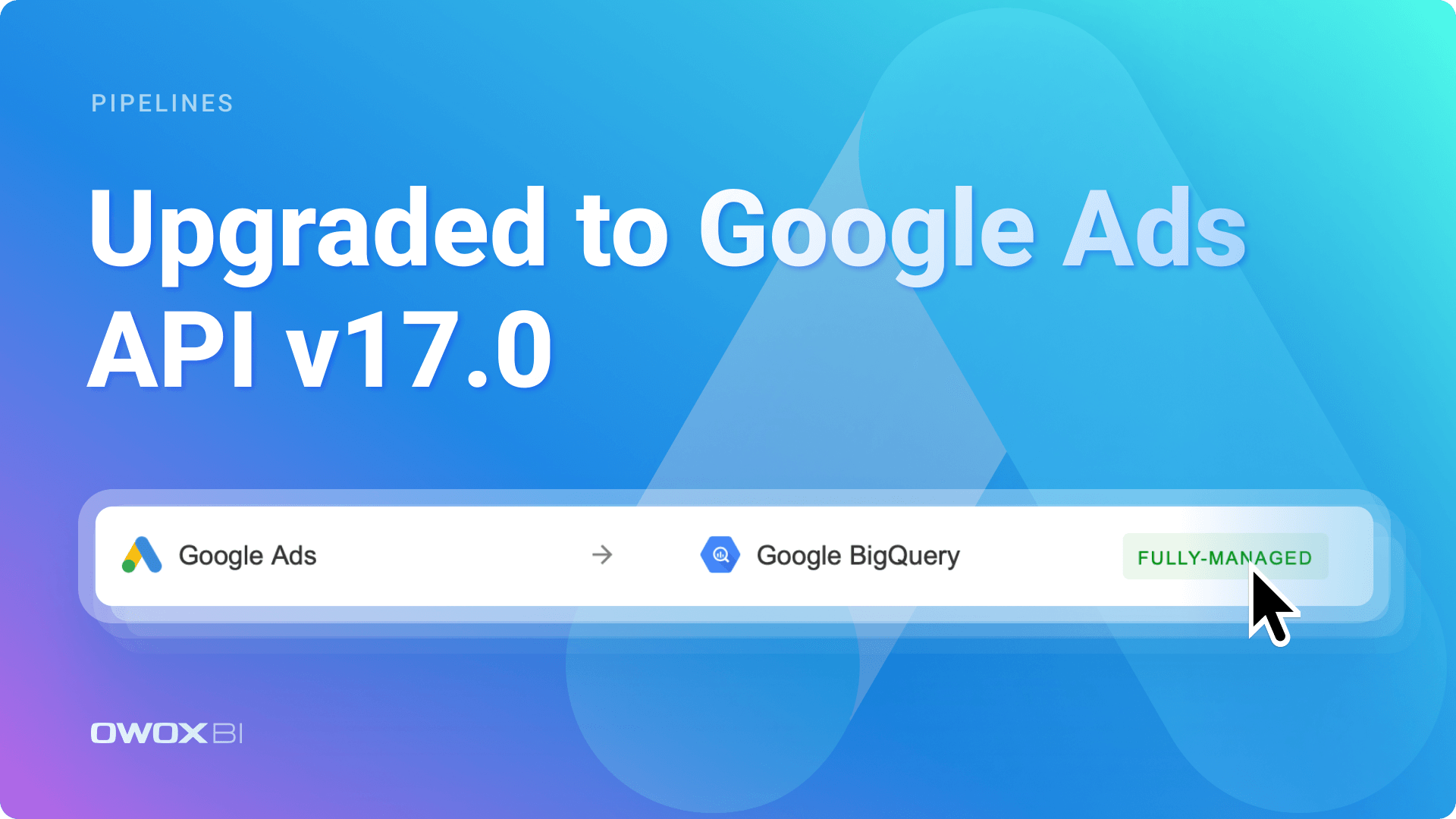 changelog-2024-09-04-google-ads-api-ugrade (1).png